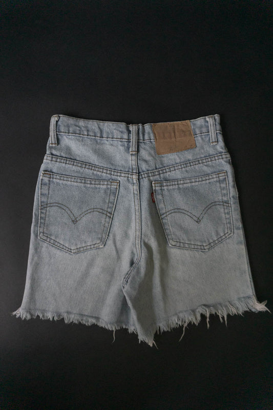 Levis Denim Shorts XS theplaincircle vintage