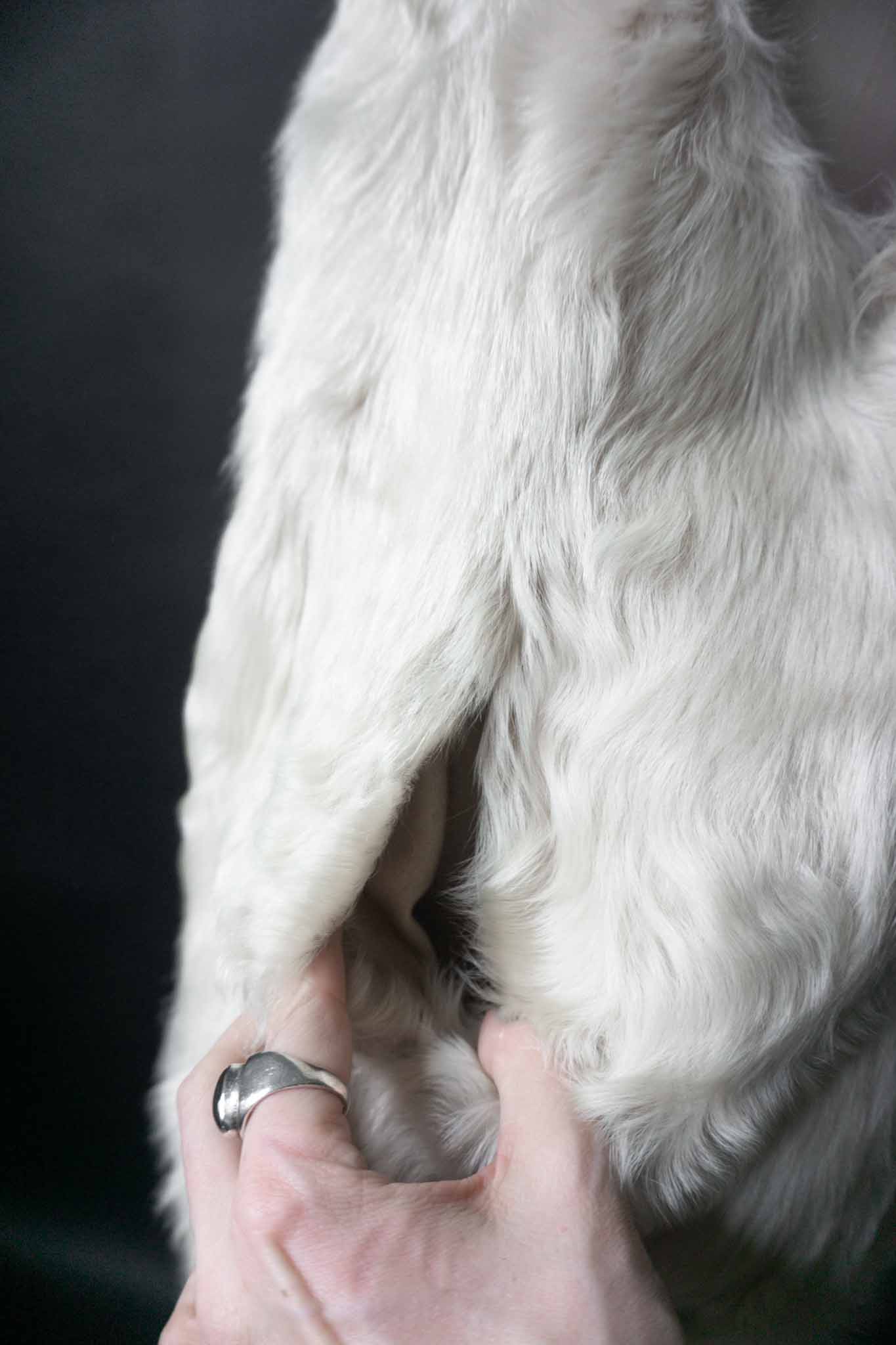 Vintage Pelzweste Lammfell, Creme, M–XL theplaincircle vintage