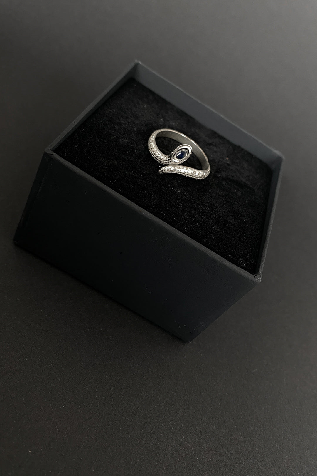 –Personal Archive– Ring 925 Silber Schlange
