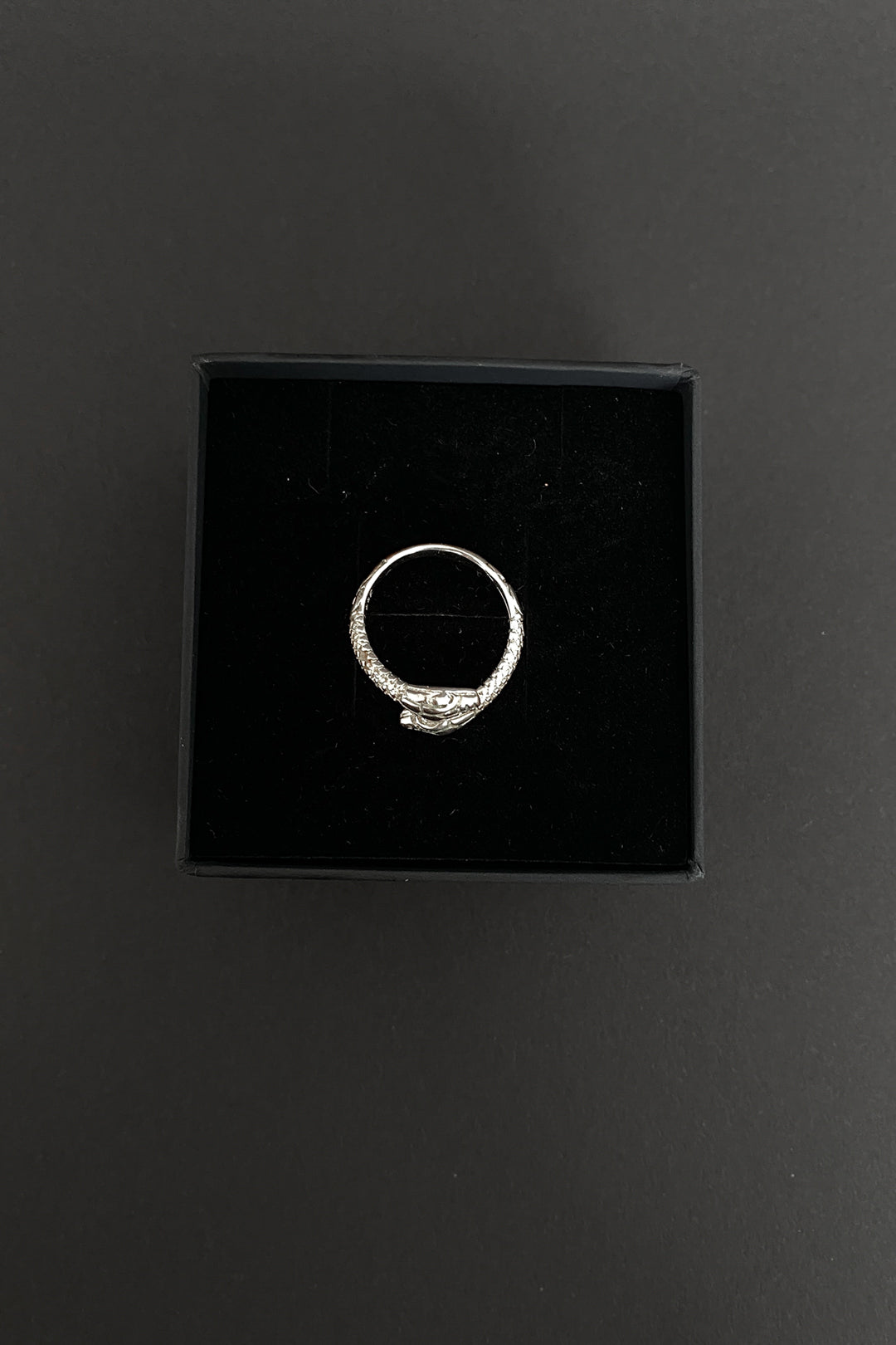 –Personal Archive– Ring 925 Silber Schlange